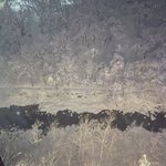 ツイートに含まれる画像