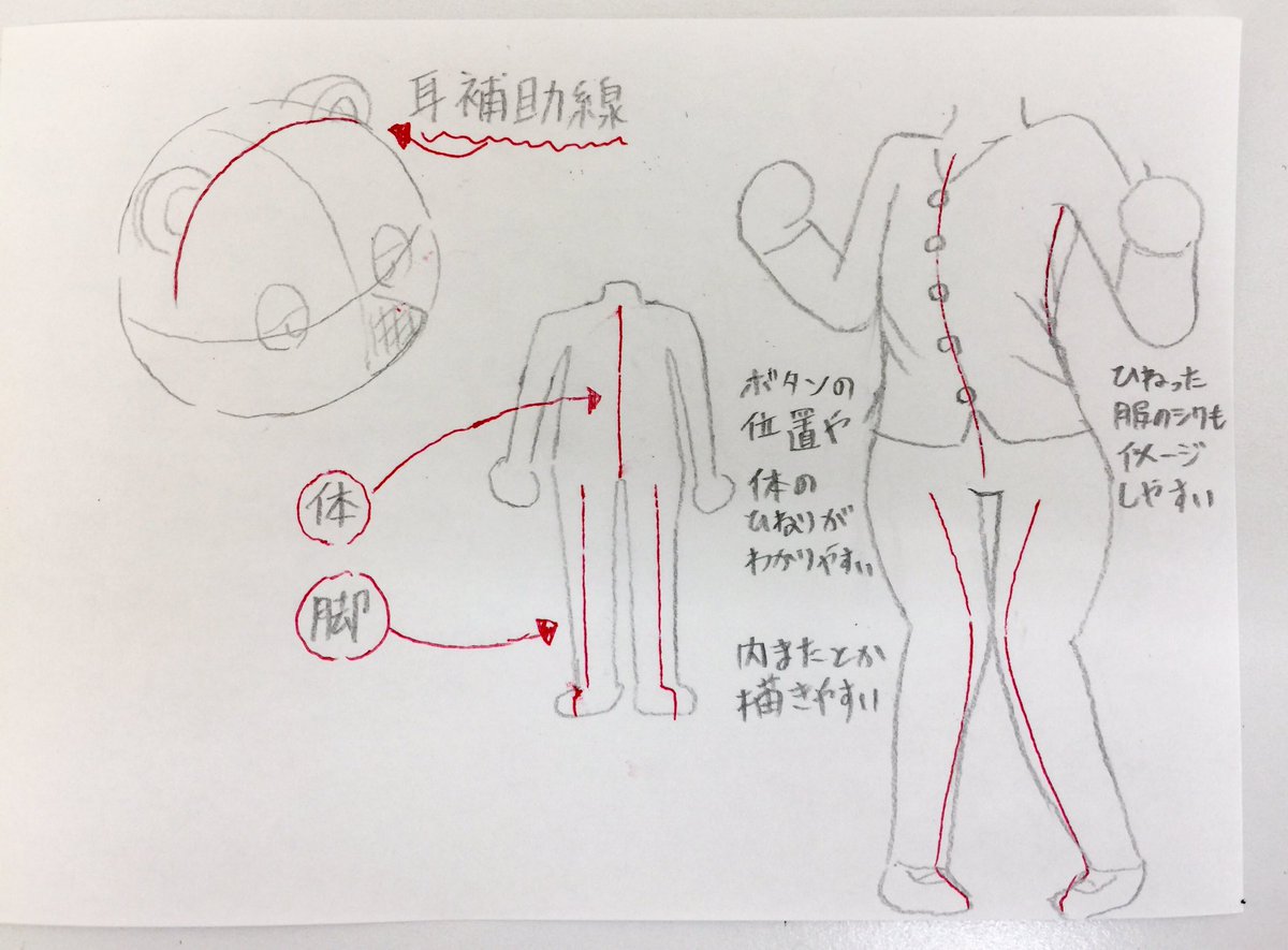 「俺はこうしてる」のコーナー

顔を描くときに十字の補助線を引くのはよく見るけど、たぬきちのような耳がついてるキャラを描くときは 耳の補助線も描きます
左右対称な耳の位置が掴みやすくなってデッサン的な狂いも減らせます

他には体を描くときも補助線引きます
よく使うものを紹介しときます 