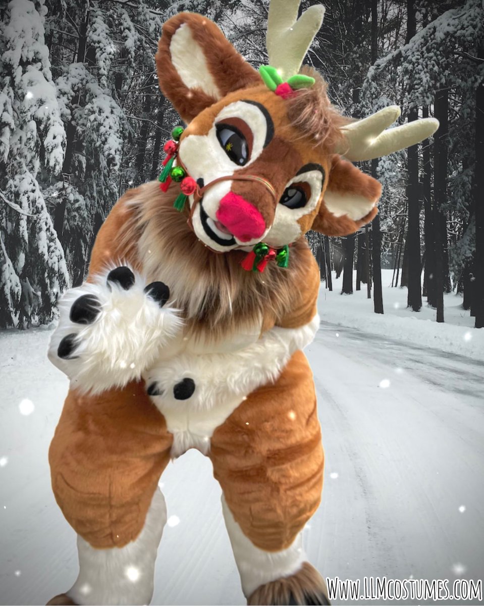 Rudolph The Red Nosed Reindeer🎄 tweet media