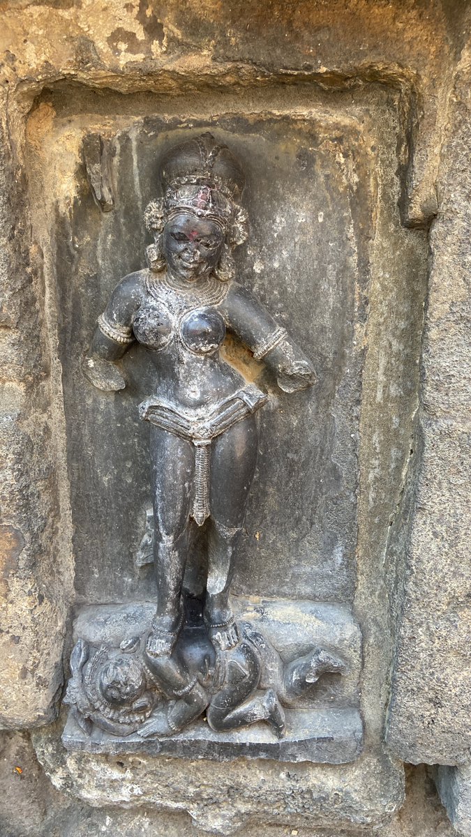 SKSahu29's tweet photo. Ganeshi, a female form of Ganesha, right with an elephant head is a unique yogini here. 

The yoginis are depicted in the form of chakra or a wheel. Each yogini sits on a spoke of this wheel.

#IncredibleIndia #dekhoapnadesh https://t.co/k2ejABySfZ