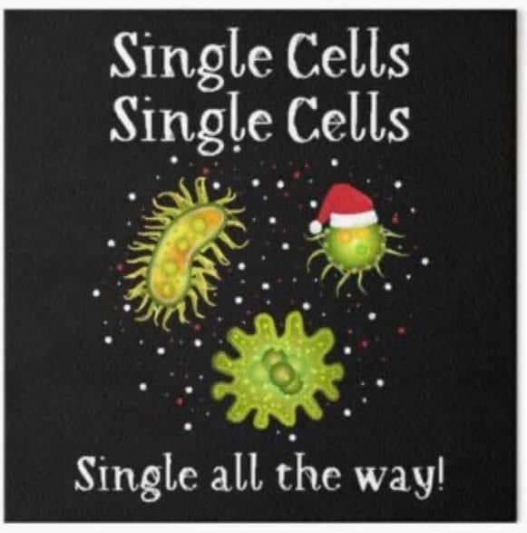 Merry Christmas and holiday greetings to all our followers. And to all those who might have got a #microscope as a present.
Here’s to exciting microscopic adventures in 2023.
📷 unknown credit (love it though)