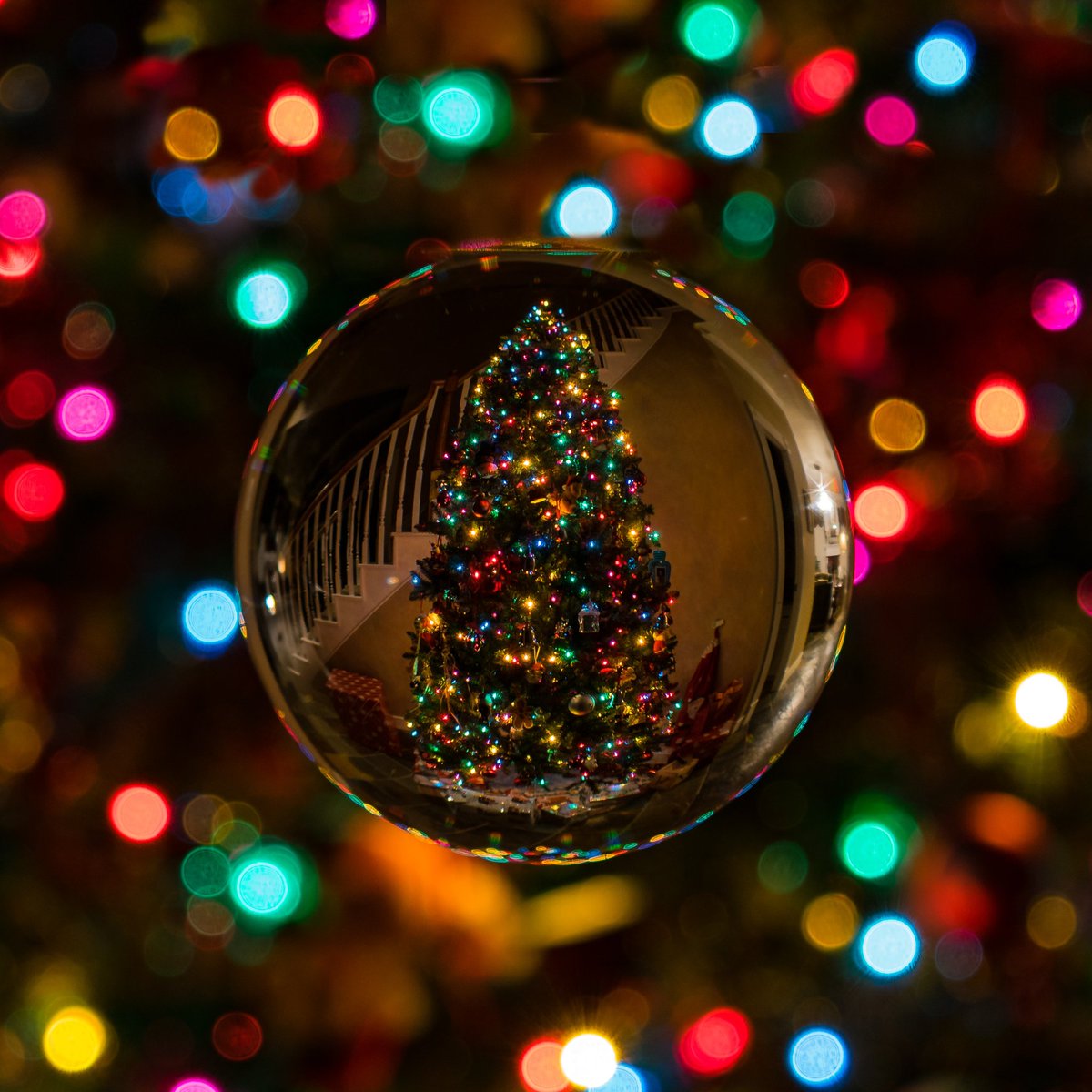 Merry Christmas! 🎄 Have a magical day! 💚