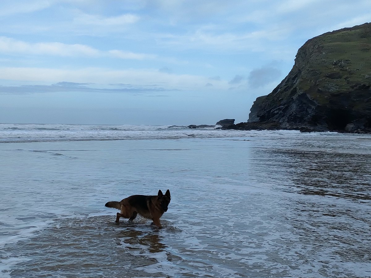 The calm before the boxing day banger <a href="/StBlazeyAFC/">St Blazey AFC</a> Vs <a href="/AFCSTAUSTELL/">AFC St Austell</a> let's hope for a classic 💚🖤 🤍🖤