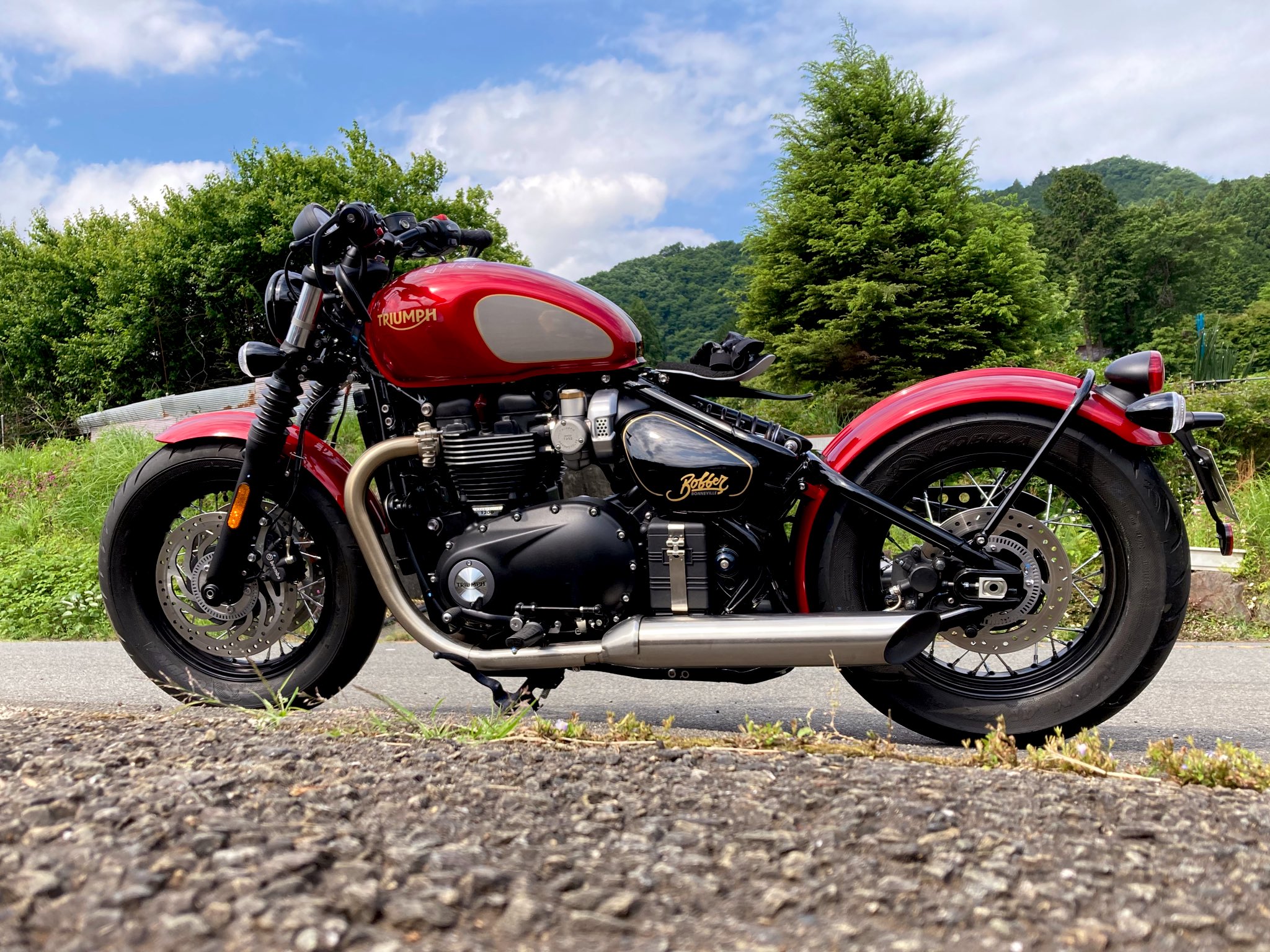 triumph - Twitter Search / Twitter