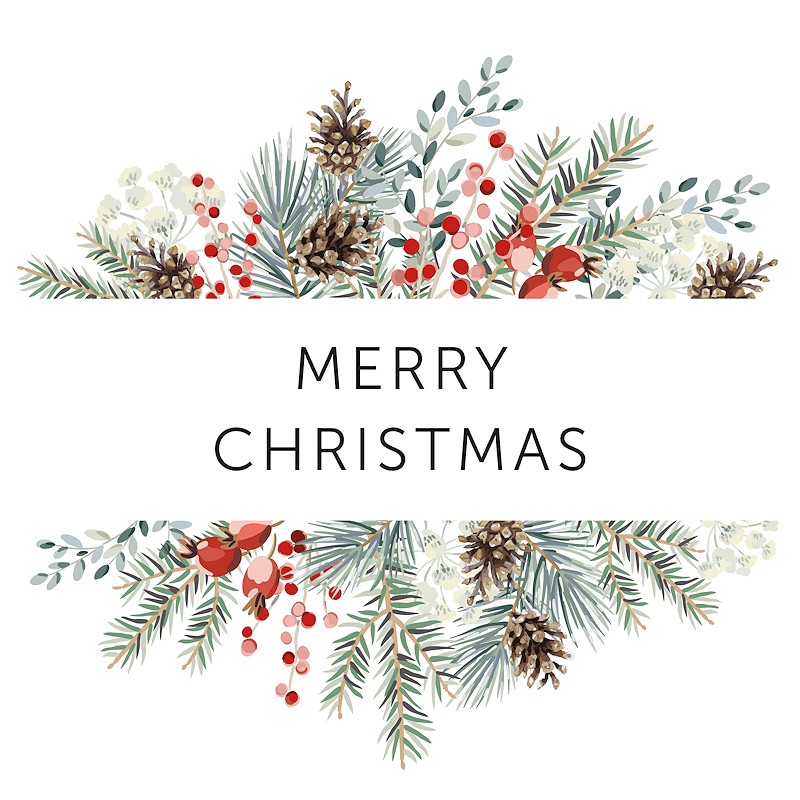 We wish all our readers a happy and safe Christmas and all the best for the New Year.