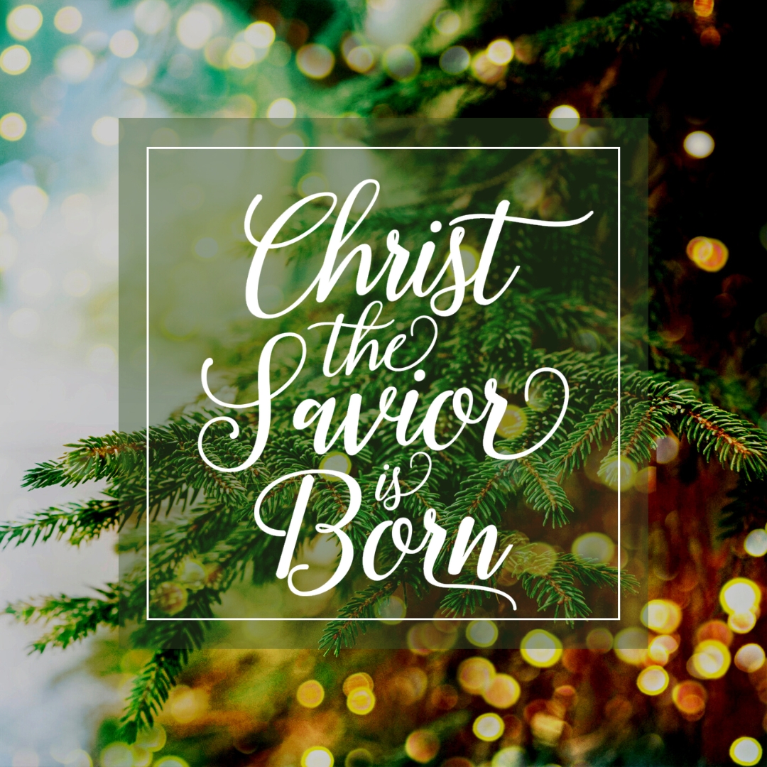 StPaulUMCLargo's tweet photo. Merry Christmas! Our Savior is born! Worship with us at 10 AM. We're celebrating our Lord with lots of music this morning and a message from Pastor Don! Join us in person or online. https://t.co/m01YjX6hWj https://t.co/kLfjGwceZV