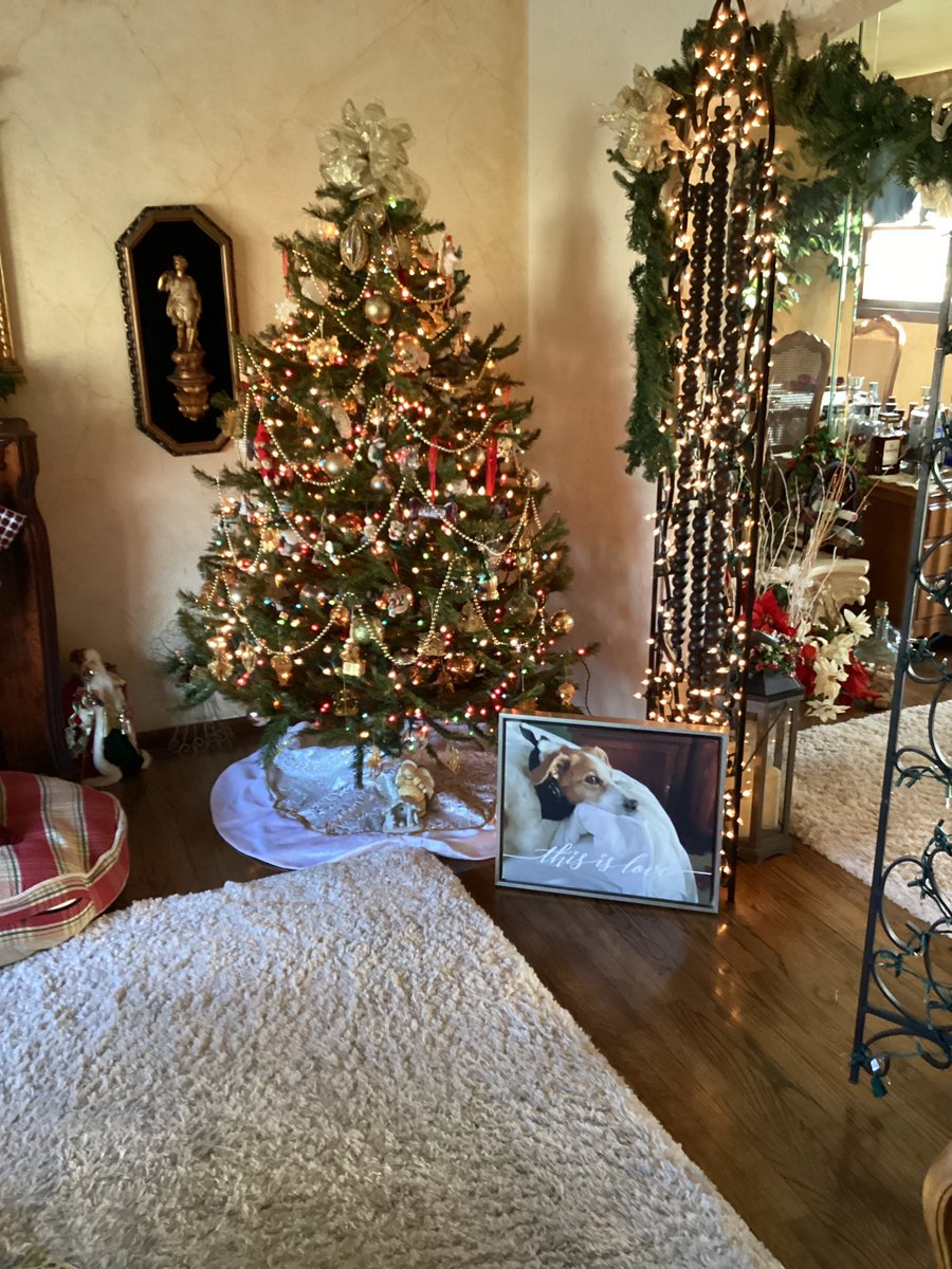 Santa Paws left this for Mommy🎄🎁🎅❤️
Merry Christmas Everyone 🎄🎁🎅❤️🐾🐾❤️😘