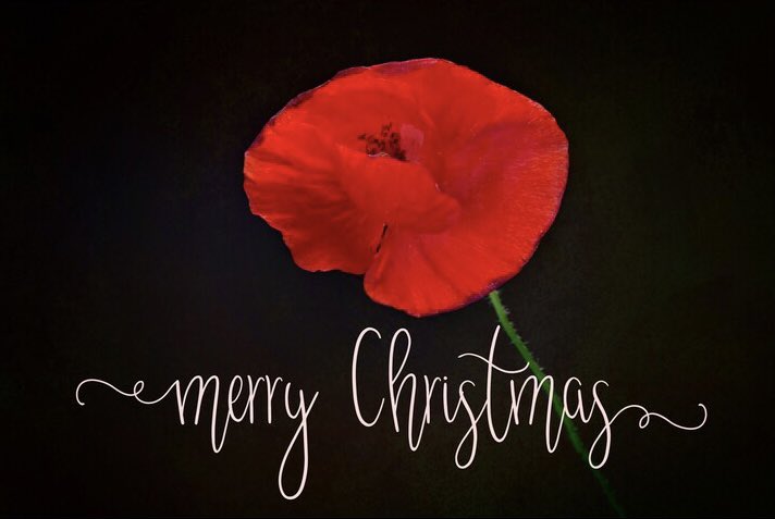 LichtjesBoZ's tweet photo. The candles burn during Christmas on the #CWGC #Canadian and #British  #wargraves and put our heroes in the light. On behalf of our board we wish you a beautiful, peaceful and joyful Christmas.  #LestWeForget #WW2 #Christmas https://t.co/D75Vcu68oX