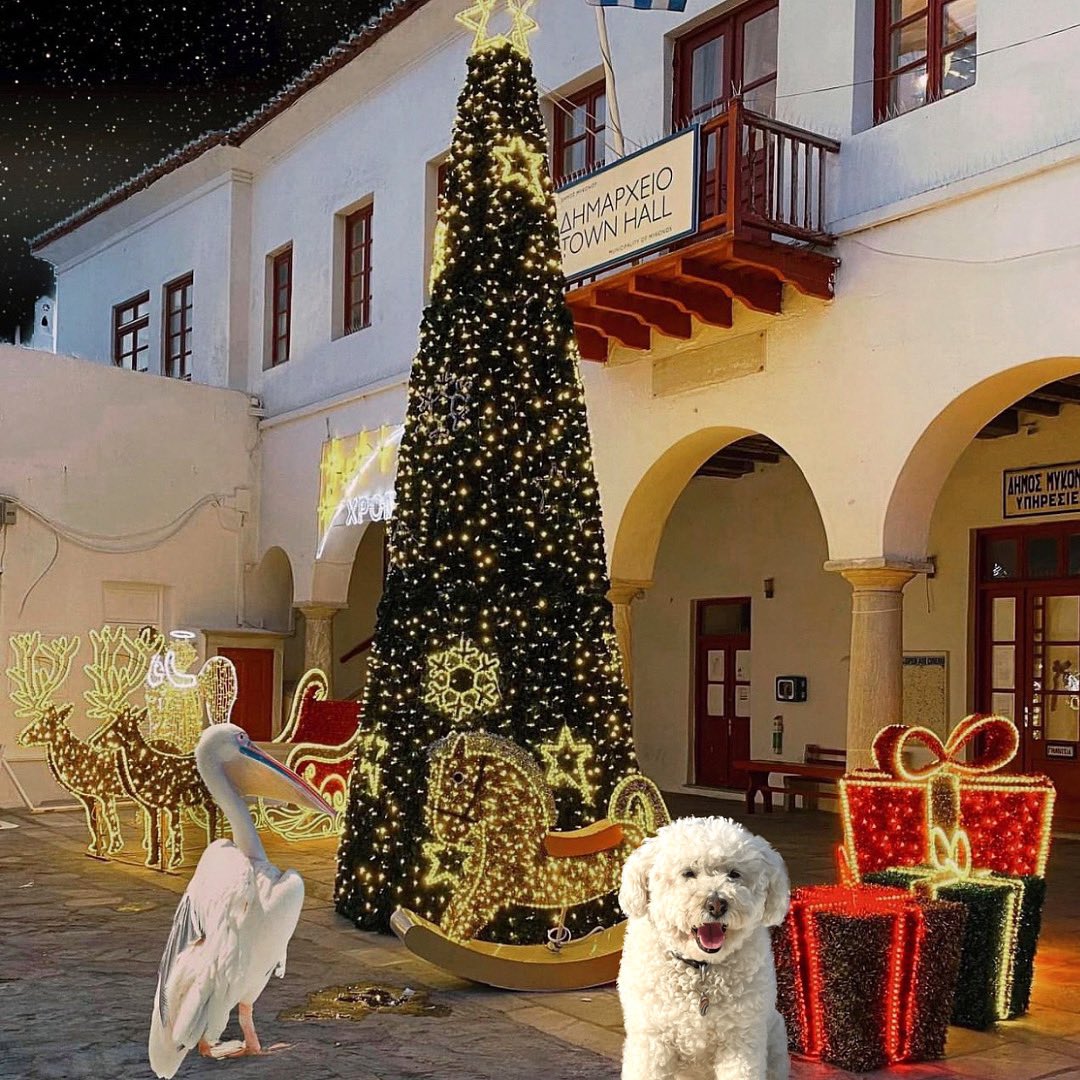 PostCardMeMykon's tweet photo. MERRY X- MAS🎅🏼

BEST MYKONOS PHOTO SPOTS‼️ 

👉 GUIDED MYKONOS PHOTO TOUR

❓How to book / details

➡️ LINK IN BIO
https://t.co/6s3dpWAt3d
or inbox me‼️

 #littlevenice #mykonos #greece #travel #photooftheday #greekisland #locationguide #love #location https://t.co/iuaJKrShgj