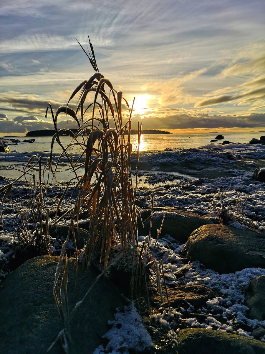 Laku_Lance's tweet photo. Rise and shine.
#Helsinki #Finland #photography #StormHour #travel #Photograph #weather #nature #Sunrise #morning #clouds #winter #snow #landscape #landscapelovers #landscapephotography #Christmas #ylesaa @ylesaa #visitfinland #visithelsinki #discoverfinland https://t.co/dZzVlWesh7