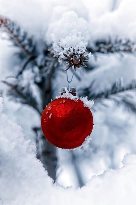 Greetings 🫂 
Merry Christmas 🎁🎄 and a Prosperous New Year 💫 May God bless you come 2023🙏🏽