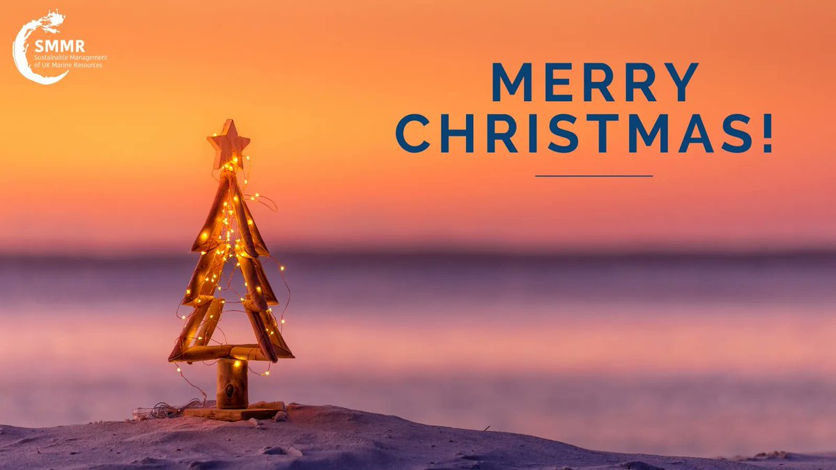 SMMR_UK's tweet photo. Merry Christmas! From exploring new approaches across the #SMMRNet, to hosting our Annual Conference & seeing outputs from our funded projects, weβve been kept on our toes this year! We canβt wait to keep you updated on our work integrating #MarineScience & #policy in 2023 π https://t.co/gapcDyFlxJ