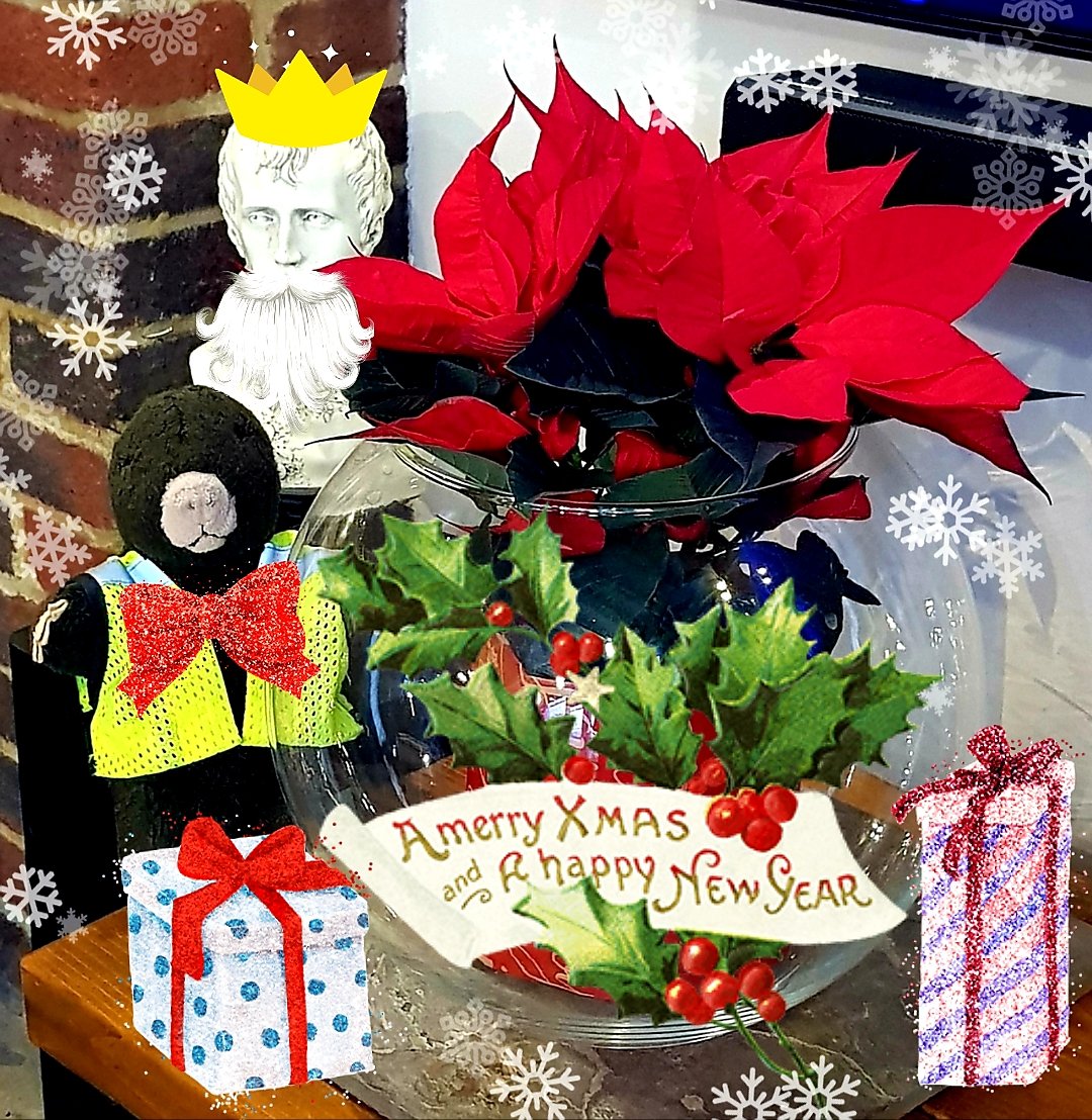 Merry Christmas to all Moley's friends! Have a wonderful holiday! 🎅🌲❄❤

#amolelikenoother 
#Moley 
#moleyandfriends 
#Christmas2022