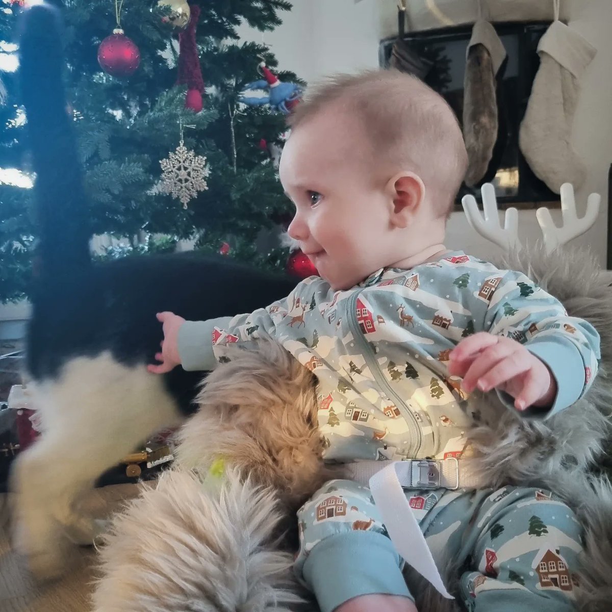 ThaTomson's tweet photo. Merry Christmas 🎄❤️
Livets första jul 🫶🏼 https://t.co/EFw88Pgx5q