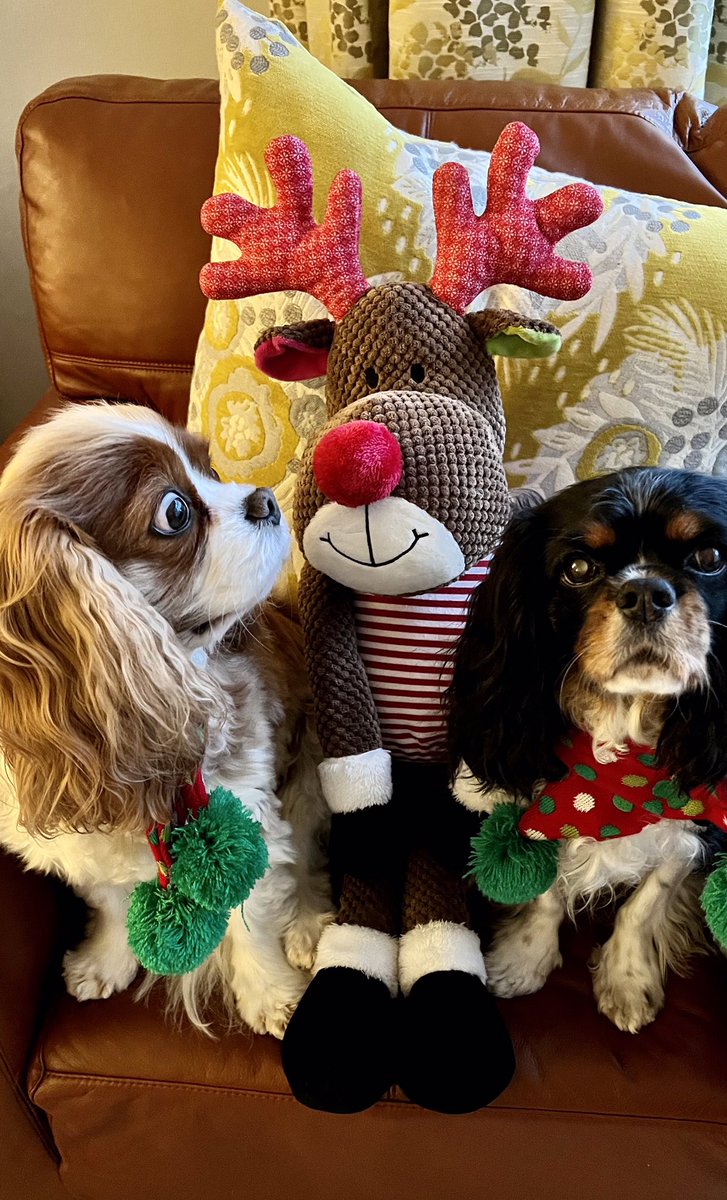 Wishing all our lovely friends near and far a very joyful Christmas time. Lots of love from us girls. Have fun and enjoy your turkey 🦃 dinner 💝💝🎄🎅🏻🤶🎉