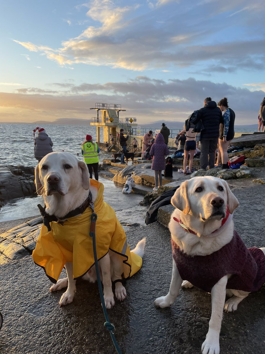 UniOfGalwaySU's tweet image. 🌊🎄🥳

#BravingTheCold #COPEChristmasSwim 
#MerryChristmas