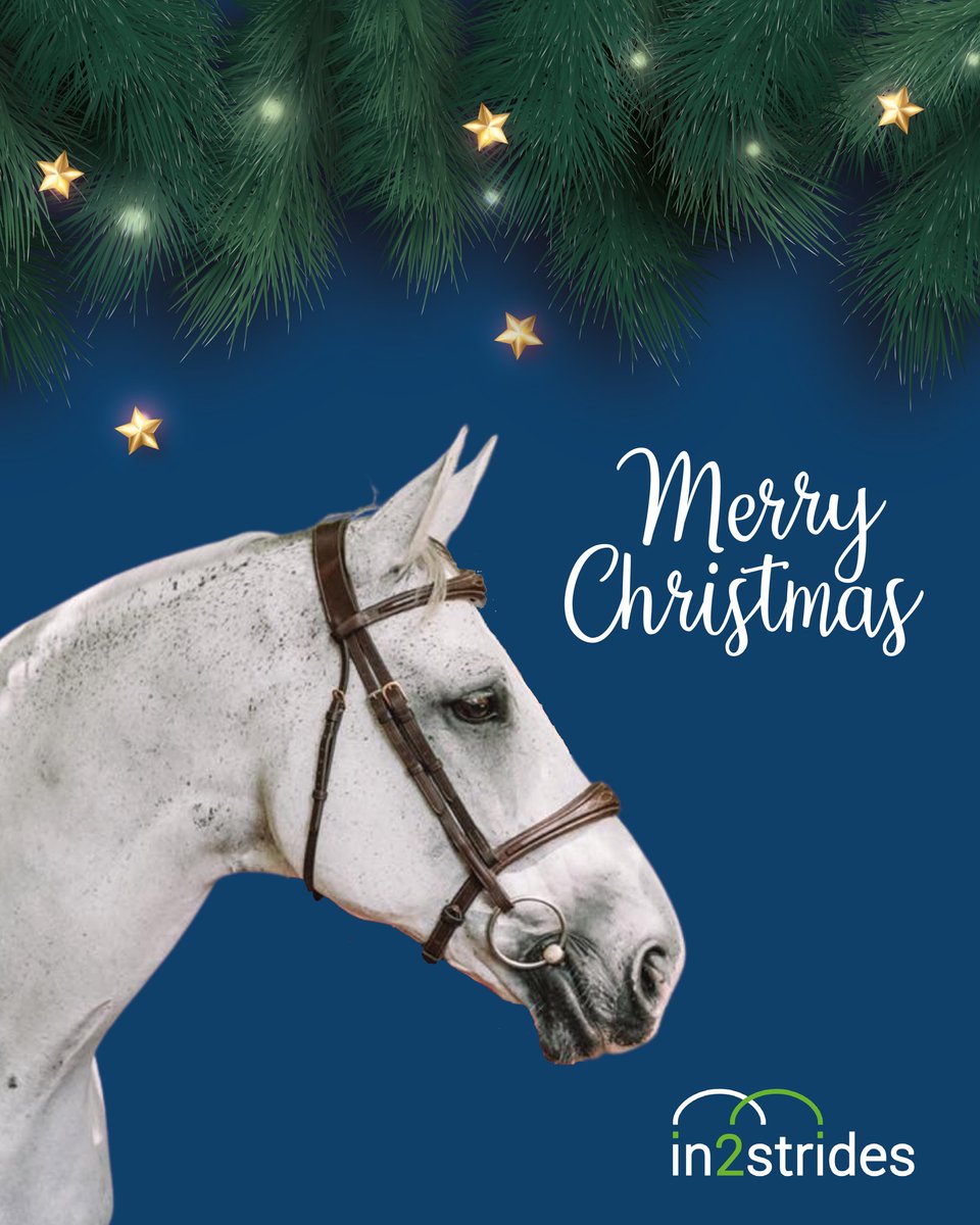 in2strides tweet media