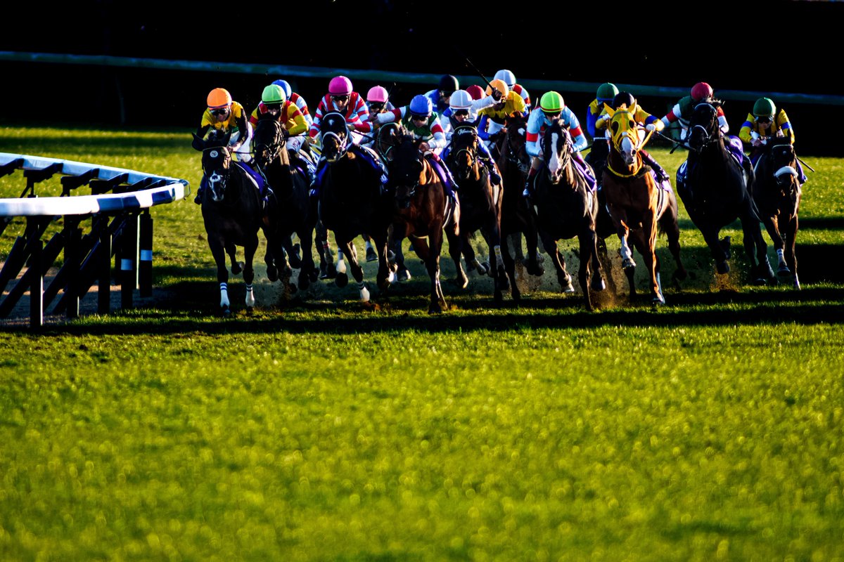 FL5_K20C_1995's tweet image. 2022/12/25
中山11R #有馬記念2022 

中山の短い直線へ
さあ今年の役者は揃った———