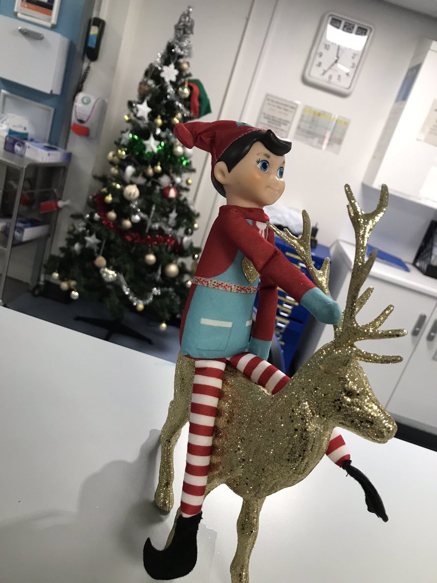 Simon the naughty Elf is having a lovely day in work today <a href="/UHL_Team_SM/">Team SM 💙</a>