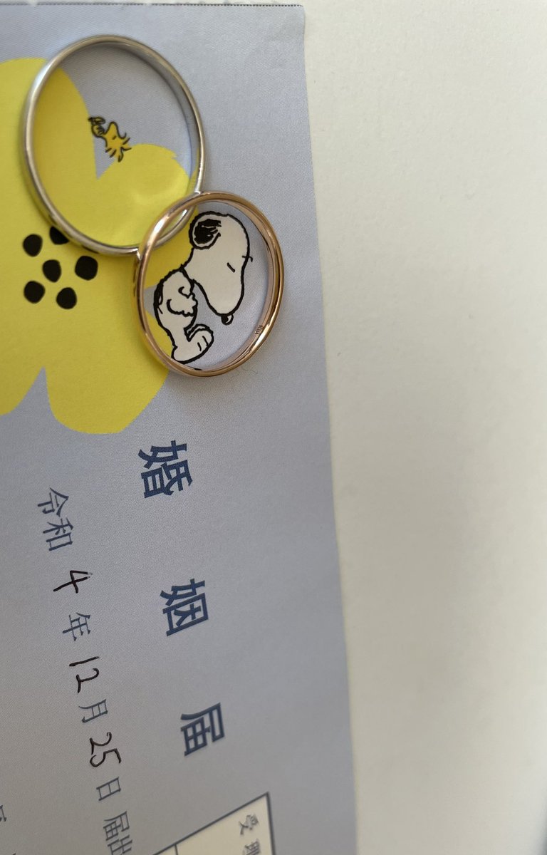 紅ぬこ tweet media