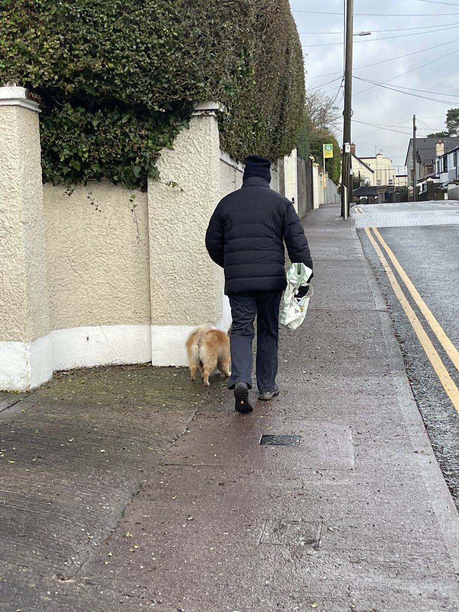 Dog must have eat the turkey