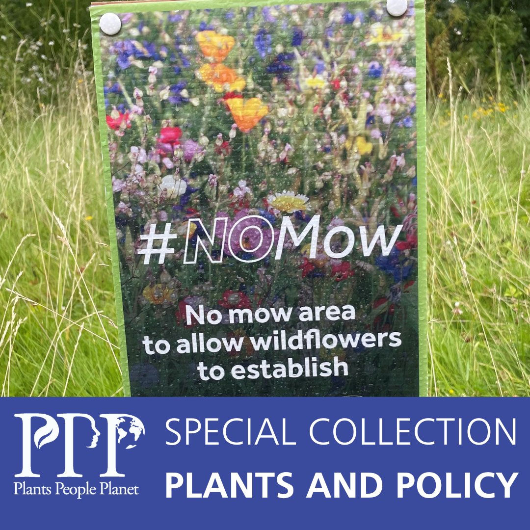 plantspplplanet's tweet photo. Plants matter more than ever!

We're celebrating 5 years of societal impact at Plants, People, Planet. Over the next 12 days we'll be posting examples of articles that have been cited in policy documents.

We hope you'll join us on #12DaysOfPolicyImpact
📚 https://t.co/kaSBQyhHJx https://t.co/nfAS4Z9yha