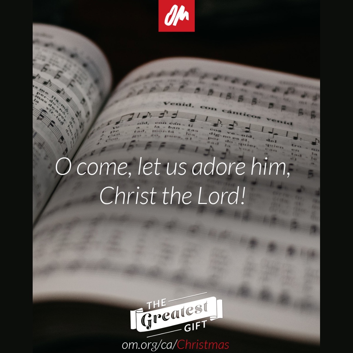 OM_Canada's tweet photo. ✨ Merry Christmas!

"Yea, Lord, we greet thee, 
born this happy morning;
Jesus, to thee be all glory giv’n!
Word of the Father, now in flesh appearing

O come, let us adore him,
Christ the Lord!"

- O Come, All Ye Faithful

#TheGreatestGift 
#OperationMobilization #OMCanada https://t.co/oRG6J8xAz4