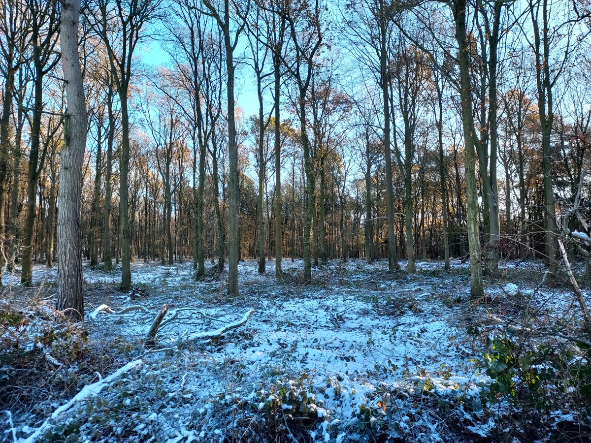 Seasons Greeting to all of our clients, contractors and suppliers. Here is to a prosperous 2023 and beyond. #seasonsgreetings #forestry