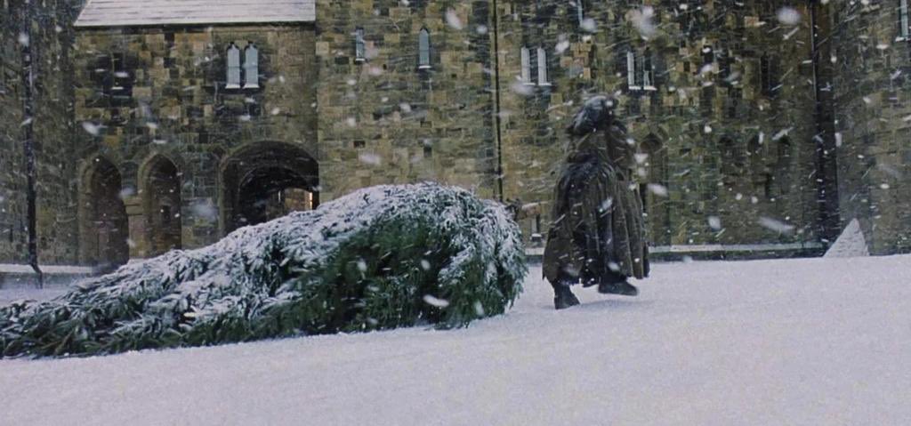 HarryPotterBrr's tweet photo. Feliz natal 🎄🎁 https://t.co/VYTsRyVolp
