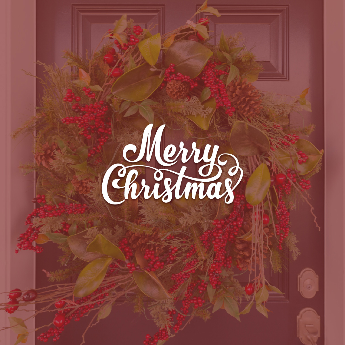 barcodefin's tweet photo. Here’s hoping your home is merry, bright and filled with love and laughter. https://t.co/fBEqrjYZSX