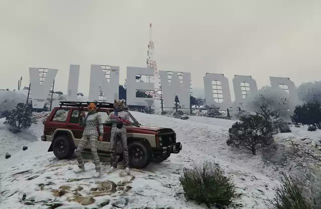 Dust Bunny 💃 tweet media