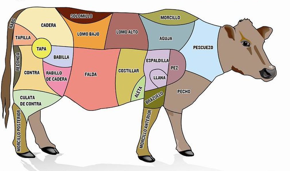 Tipo de cocciones de la carne