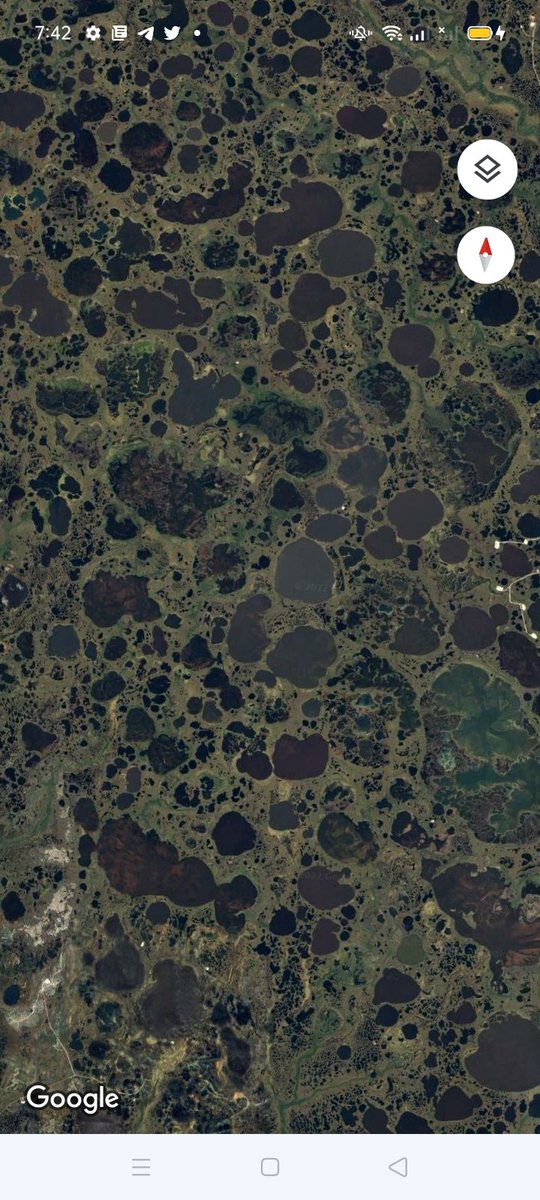 Humans had some I not, a fart eat festival or some till the ground with the fart break, humans got it on self death, no service work allowed after death, no step to me, pech