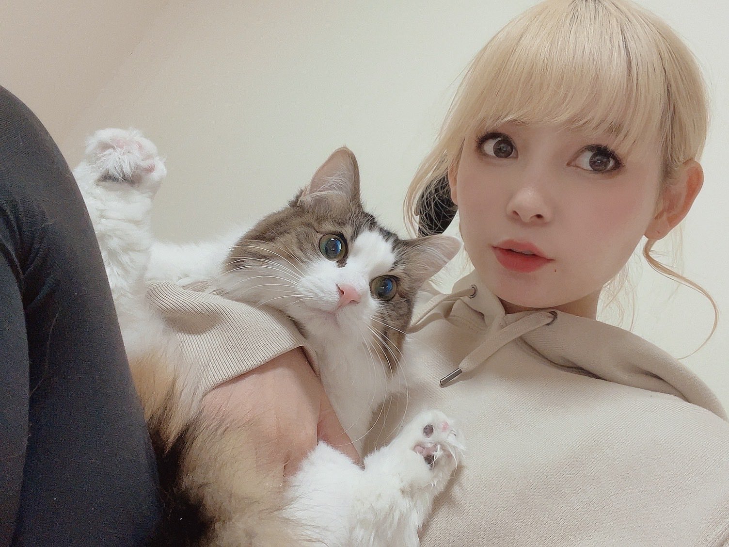 🍉中川翔子🍉🐈⬛ on X: 🍉中川翔子🍉🐈⬛ on X: