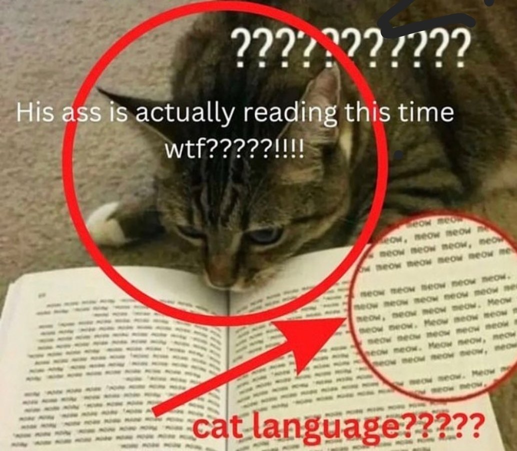 Dont Show Your Cat (@dontshowyourcat) on Twitter photo 