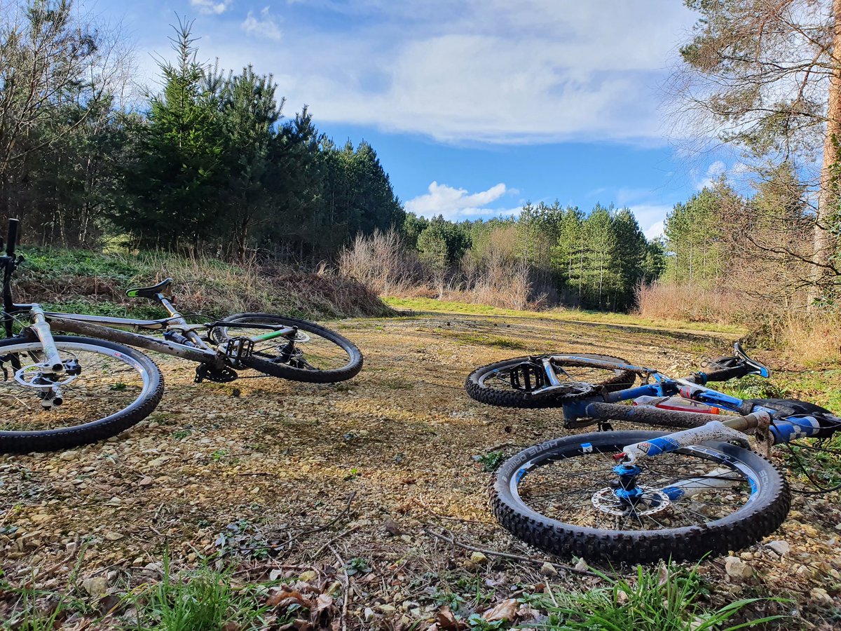 Work2Adventure's tweet image. What Christmas day is all about 🥰