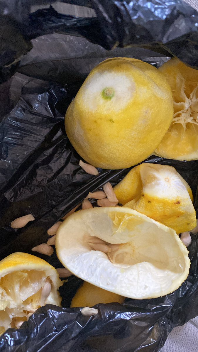 timtech472's tweet image. How’s Christmas going over there ?🥺😩