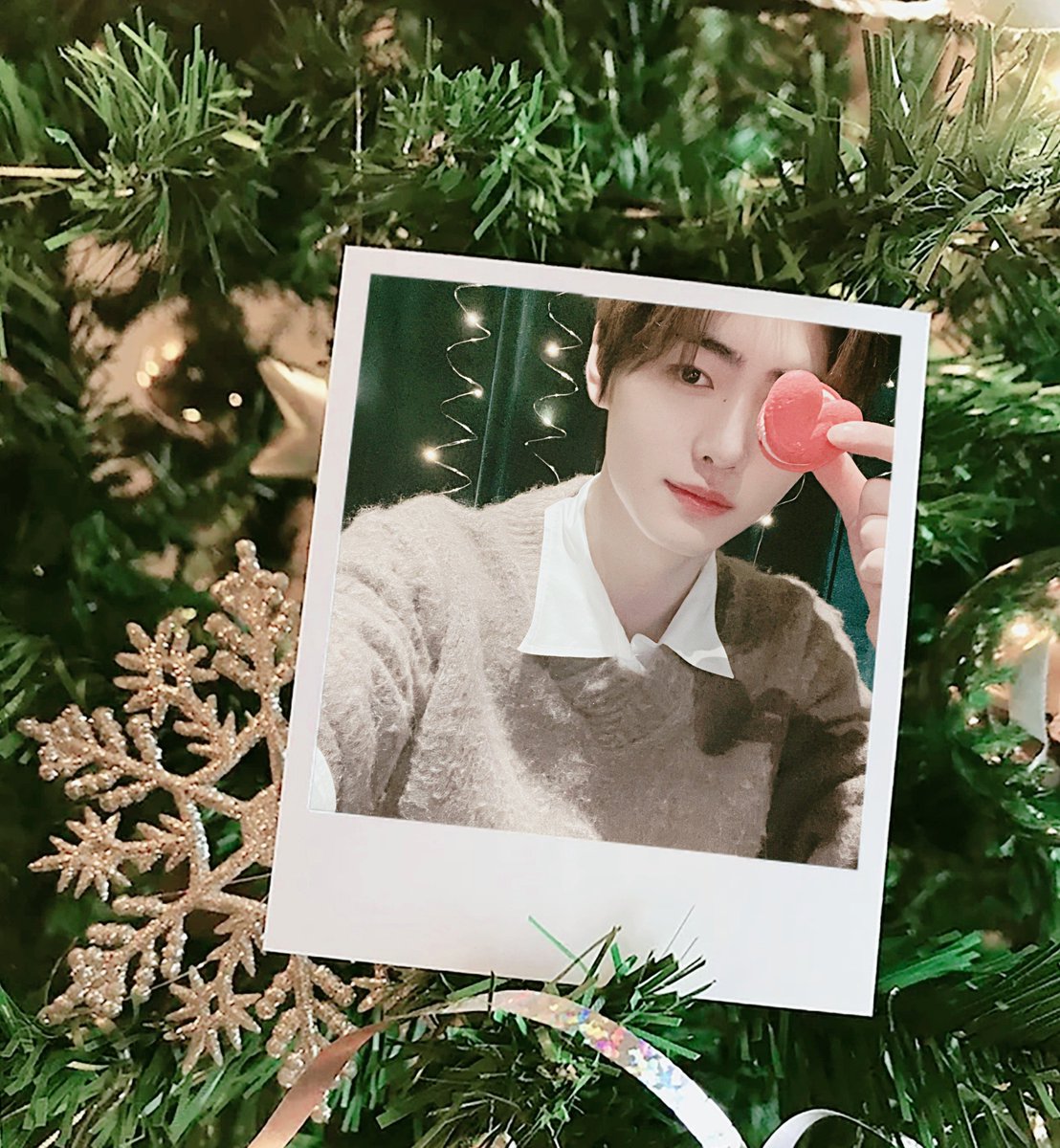 ☃️  🥨  merry xmas  🥨  ☃️
                      ⭐️
         ❄        🎄
                   🎄  🎄    ✨
                 🎄 🧸 🎄
               🎄   🎀   🎄     ❄
             🎄   🎁🎁  🎄