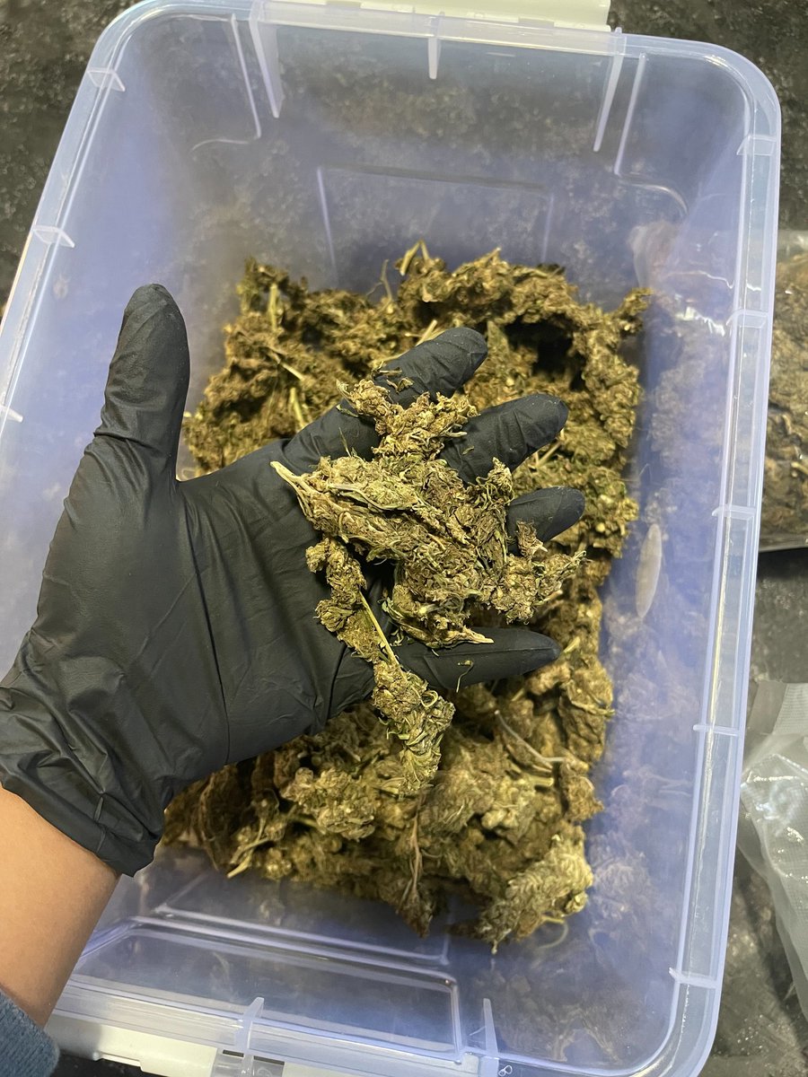 420_kaycha's tweet photo. 🌿ของเรามีพร้อมส่งนะจ่ะ #weed 💯
📣ถ้าลูกค้าสนใจ แอดไลน์มาเลยจ่ะ🥰
https://t.co/fbleBnliPT
🌿 ไม่ขายให้เด็กต่ำกว่า 18
👉 ราคางานไม่สร้างบ้านนะจ่ะ 🤏
🌿ขีด700
#กัญชาออแกนิค #กัญชาเชียงใหม่
#กัญชาอัดแท่ง #กัญชา #ขายกัญชา
#กัญชาog #กัญชากรุงเทพ #กัญชาเสรี #WeedLovers #WEEDSHOPS https://t.co/N6iVK14aSt