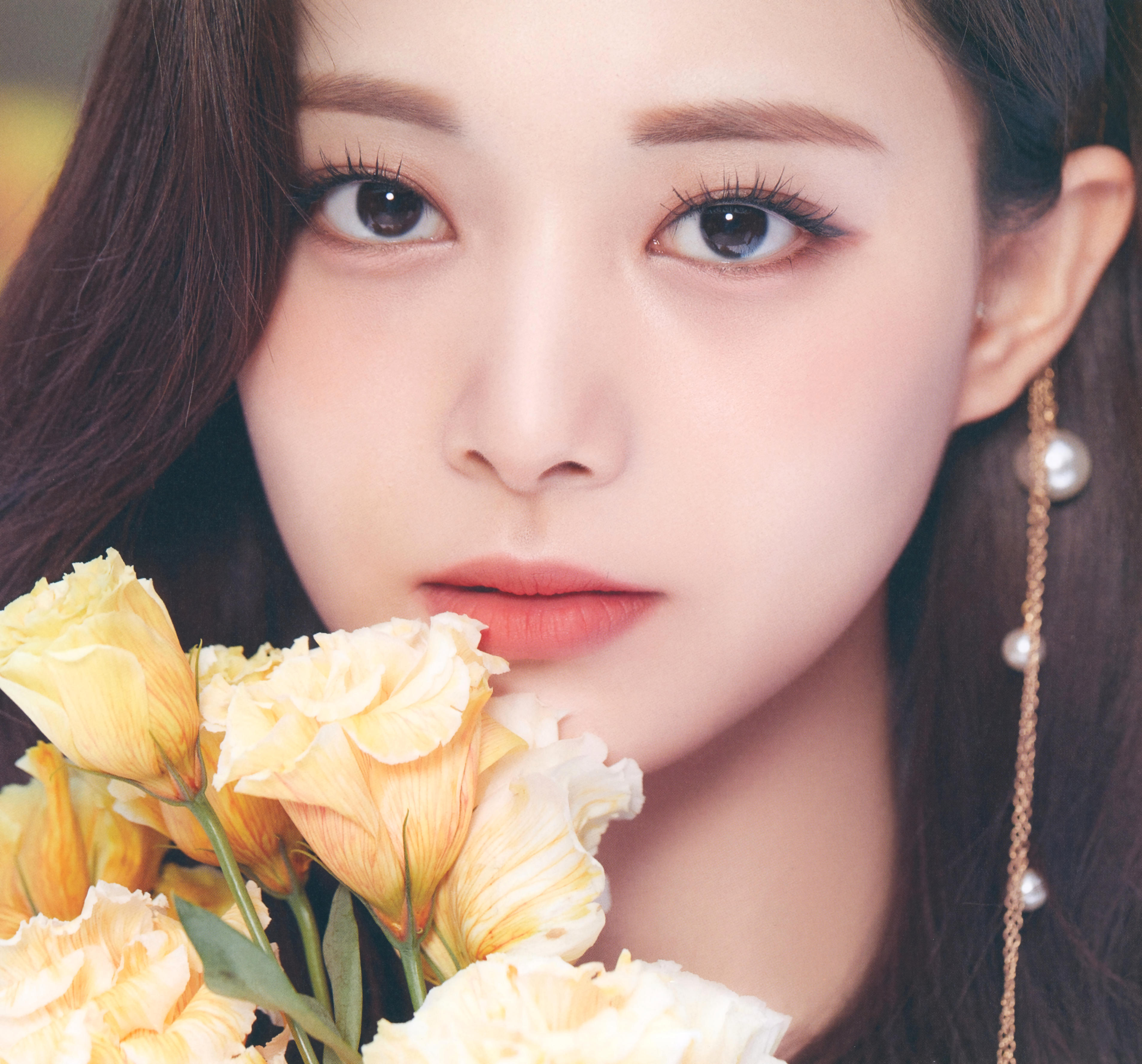 DICON D'FESTA TWICE TZUYUツウィ ver Dicon D'FESTA TWICE TZUYU version《全額内金》 : TWICE