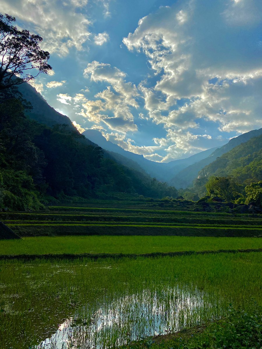 Rumeth18's tweet image. @ViewSonic @pcguidelk #SriLanka #pcguide #RebuildingColor #ViewsonicLK #memure #photography
