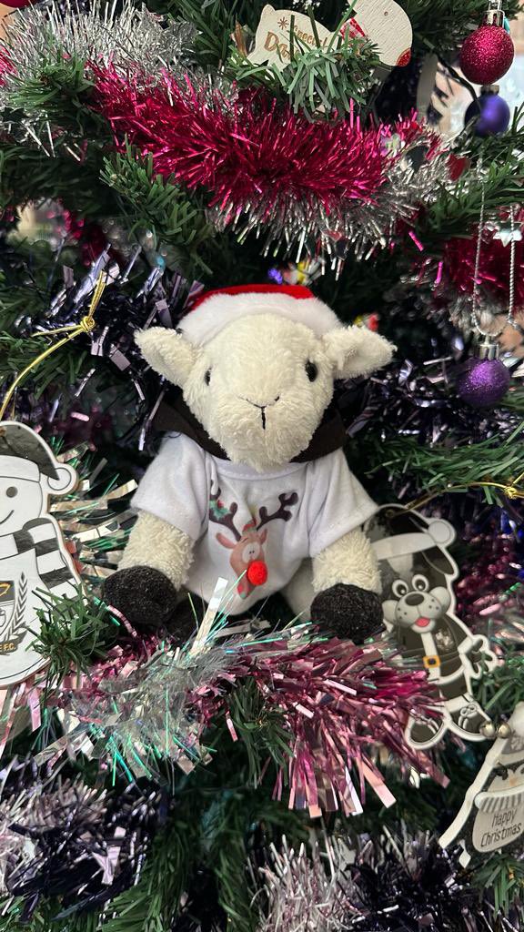 GaryTheGoat8's tweet photo. Merry Christmas everyone !! 🎄🐐🎅🏻🧡 xx https://t.co/y3XyoI7BWv