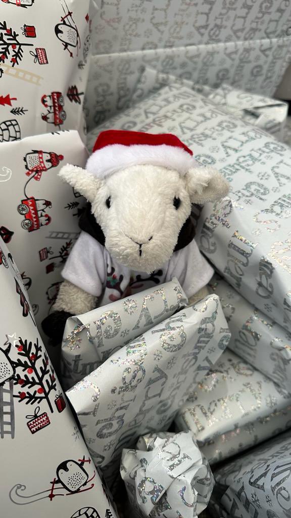GaryTheGoat8's tweet photo. Merry Christmas everyone !! 🎄🐐🎅🏻🧡 xx https://t.co/y3XyoI7BWv
