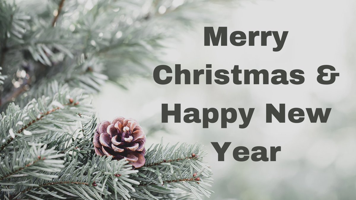 Wishing all our members and FDEA friends a very Merry Christmas and Happy New Year!