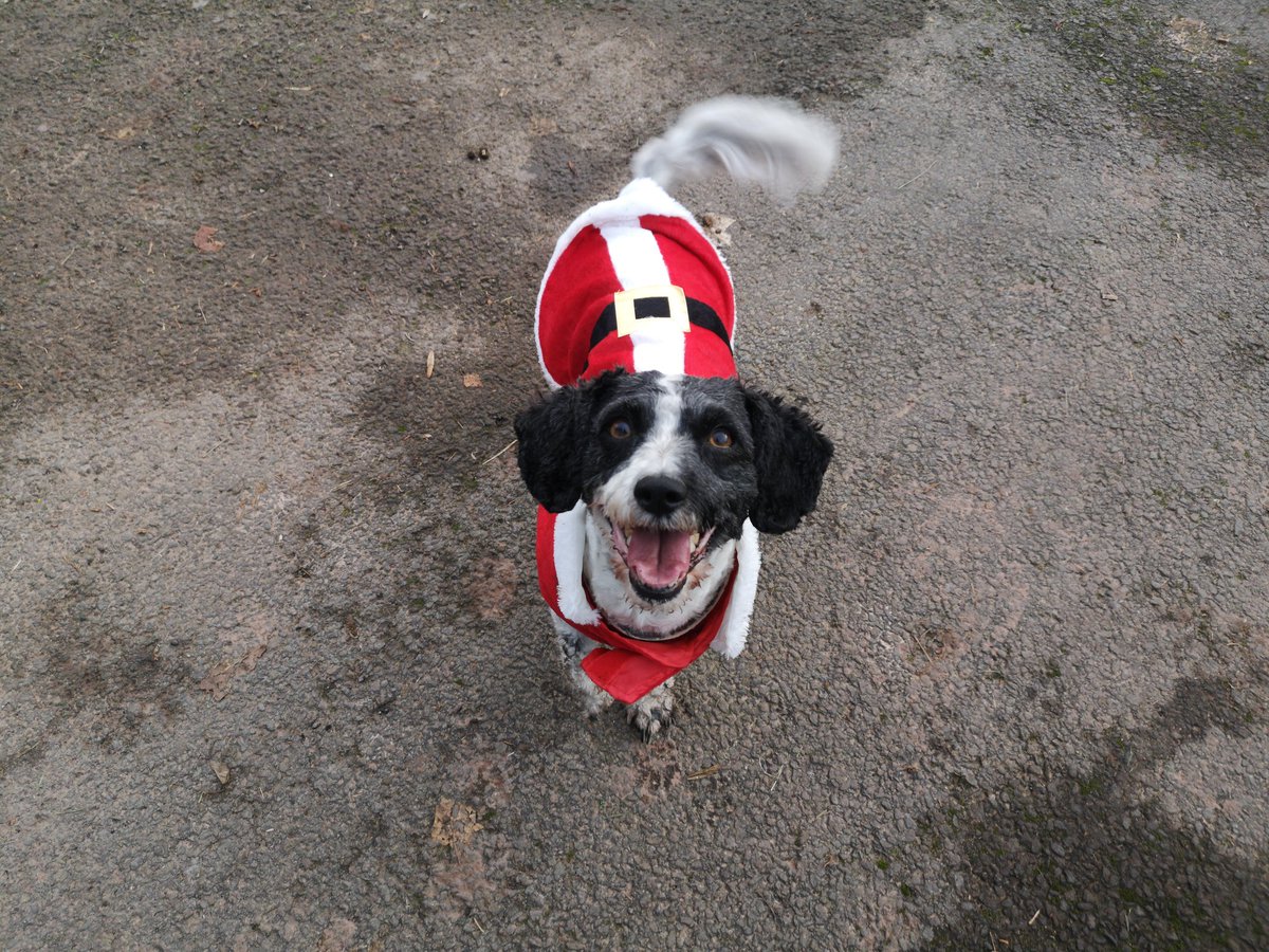 Nadolig Llawen 🎄
Merry Christmas 🎄