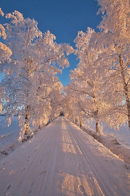 L_A_A_S_2002's tweet photo. Good Afternoon 💙 https://t.co/CaZP2TwCpM