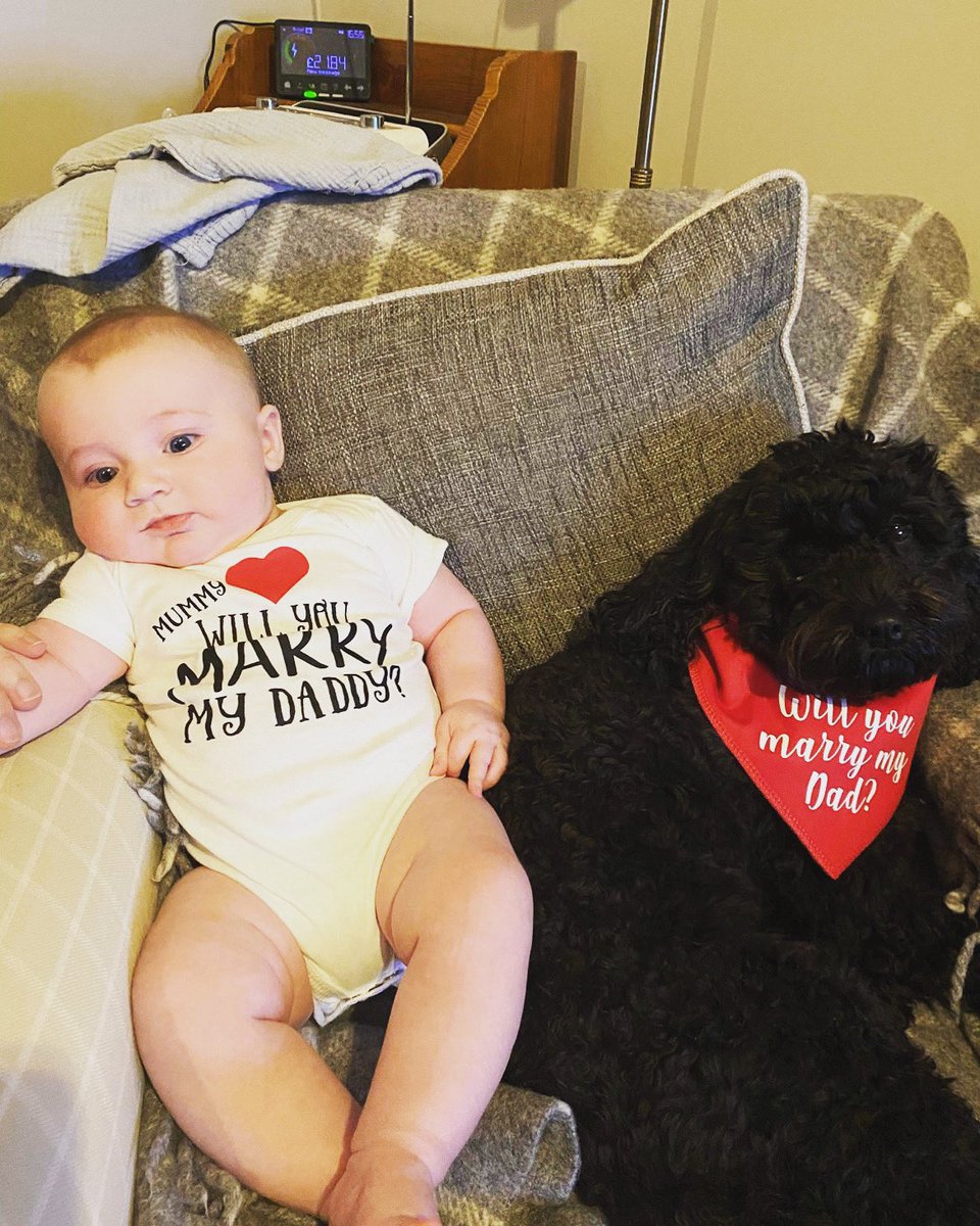 Tom Waterhouse tweet media