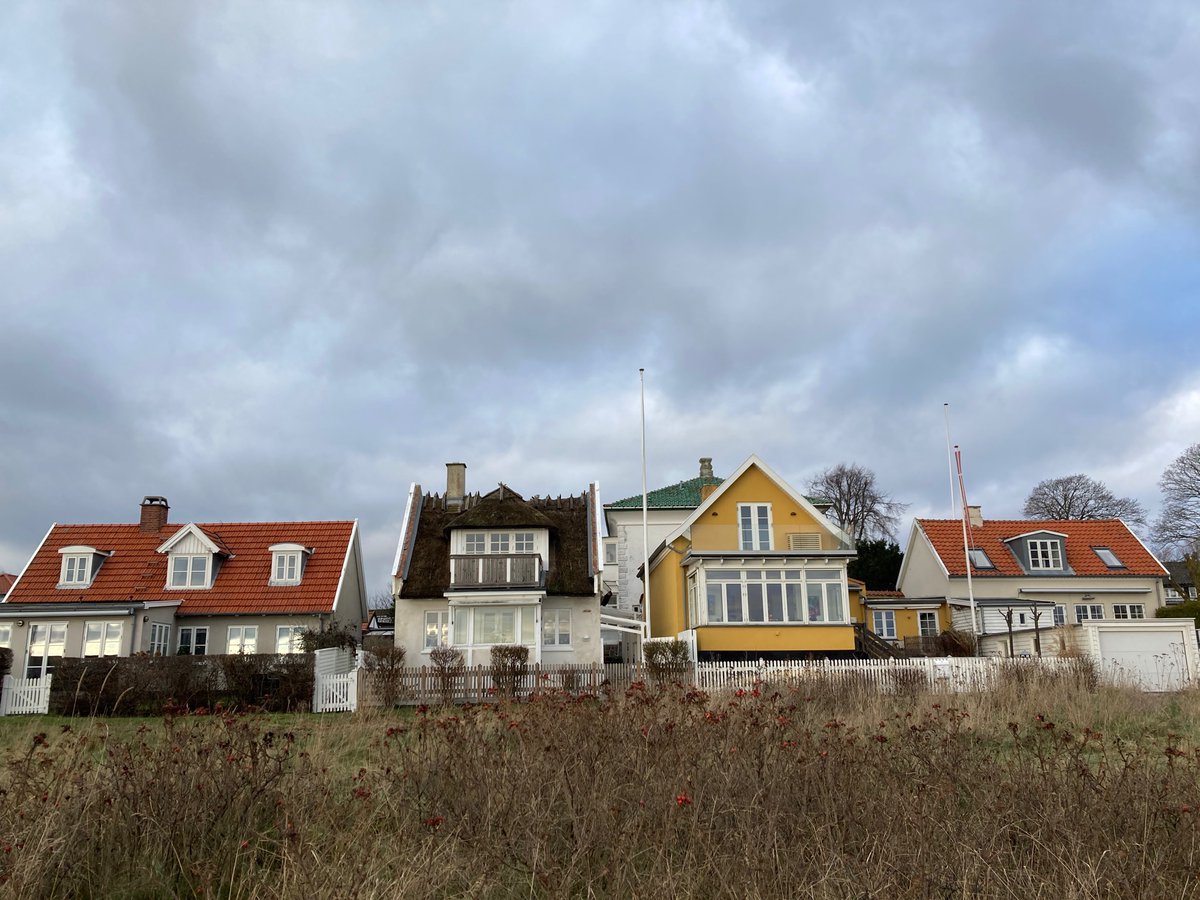 Colette Biro tweet media