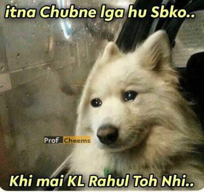 <a href="/klrahul/">K L Rahul</a> Bhai akhir kb kholega tmhra khoon?