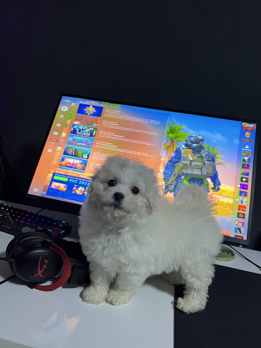 Lets grind 🧐🐶